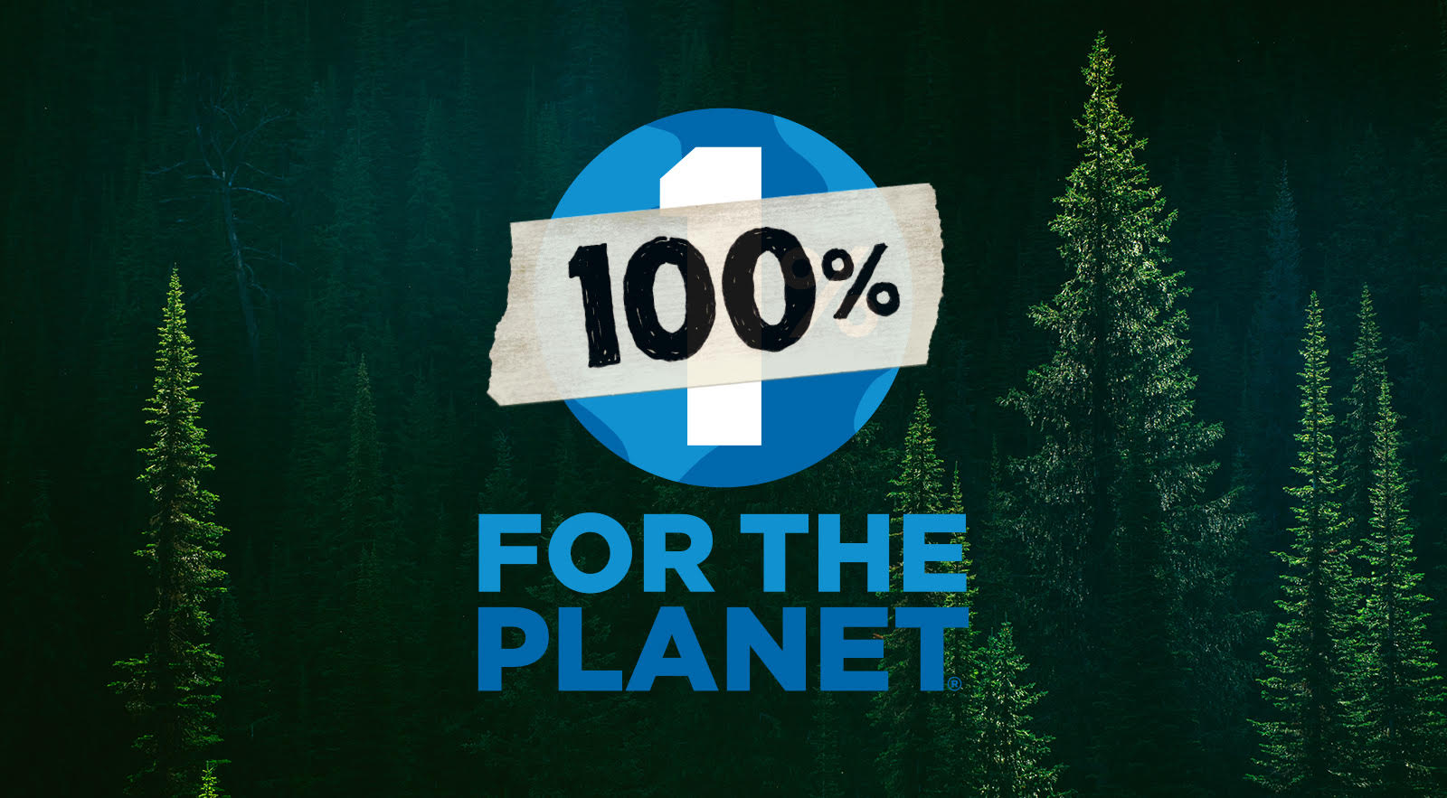 Patagonia To Donate 100% Of Global Sales On Black Friday To NGOs